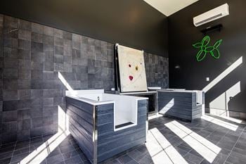 Pet spa